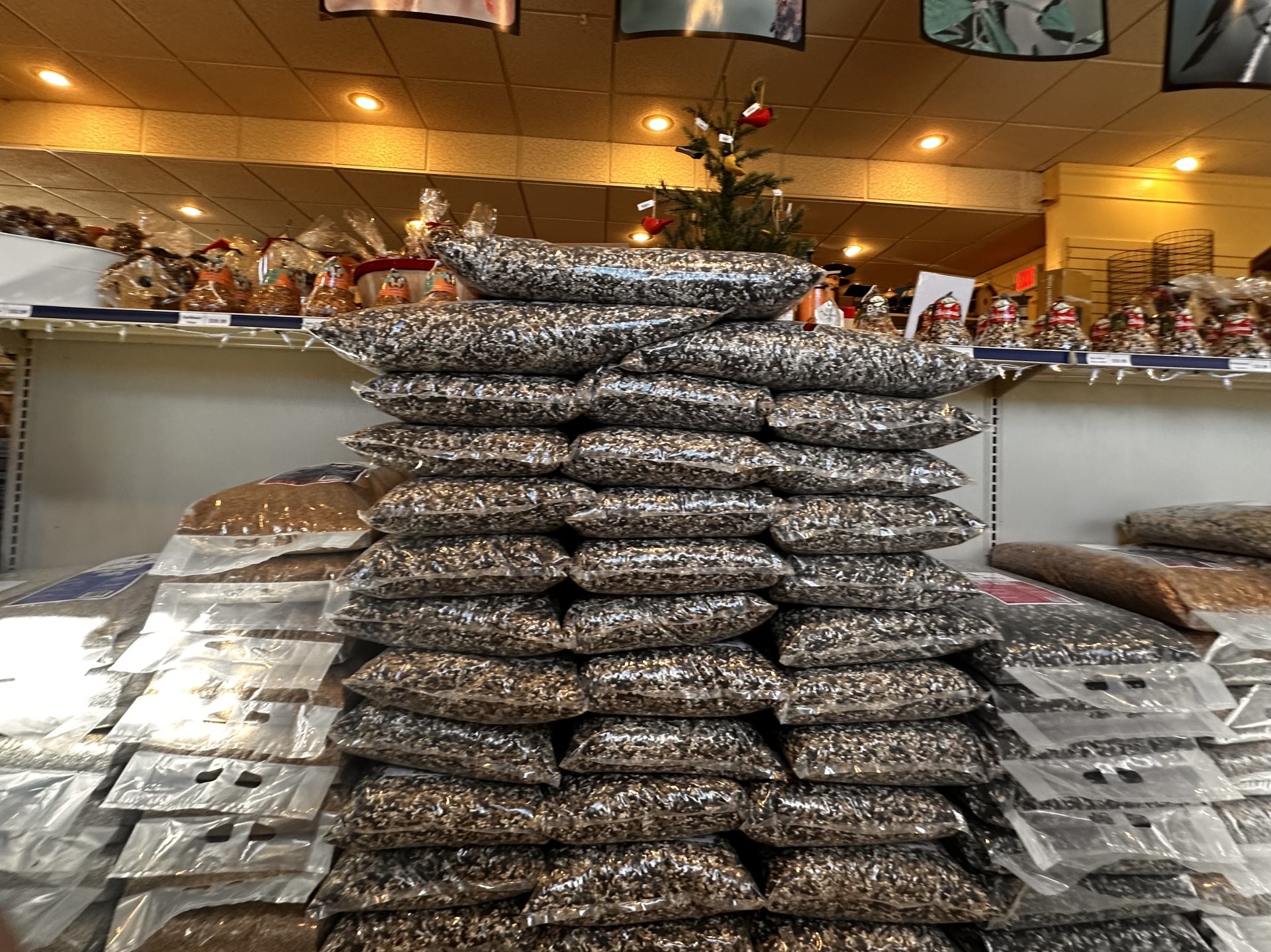 Bulk Wild Bird Seed